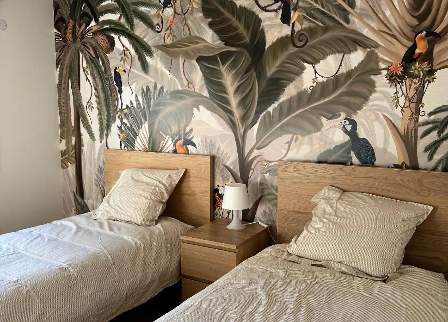 Tatil Evi Elegante Maison De Ville Renovee Toulouse